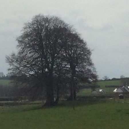 Rathgillen Lodge Nobber Luaran gambar